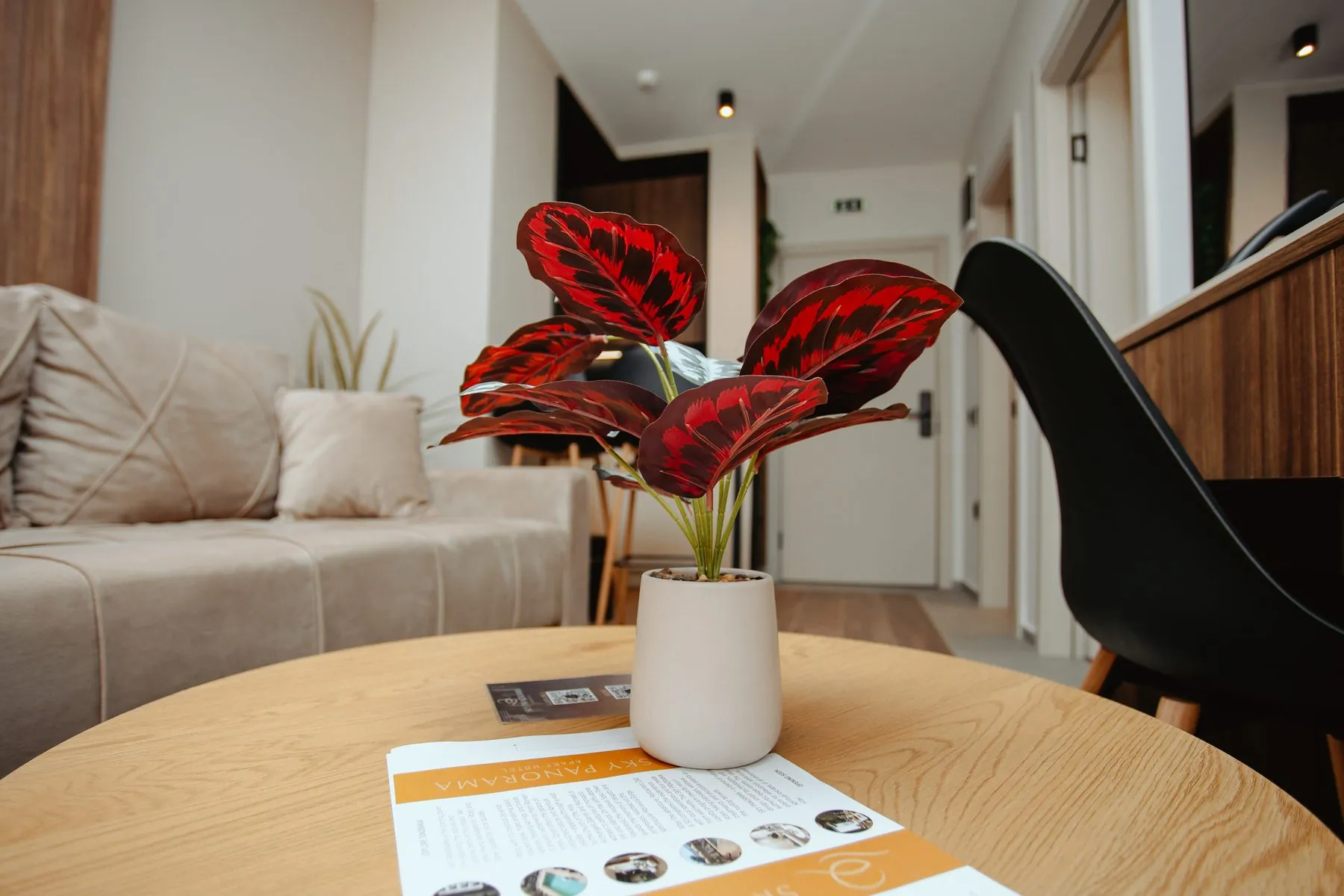 Coffee table in the living room