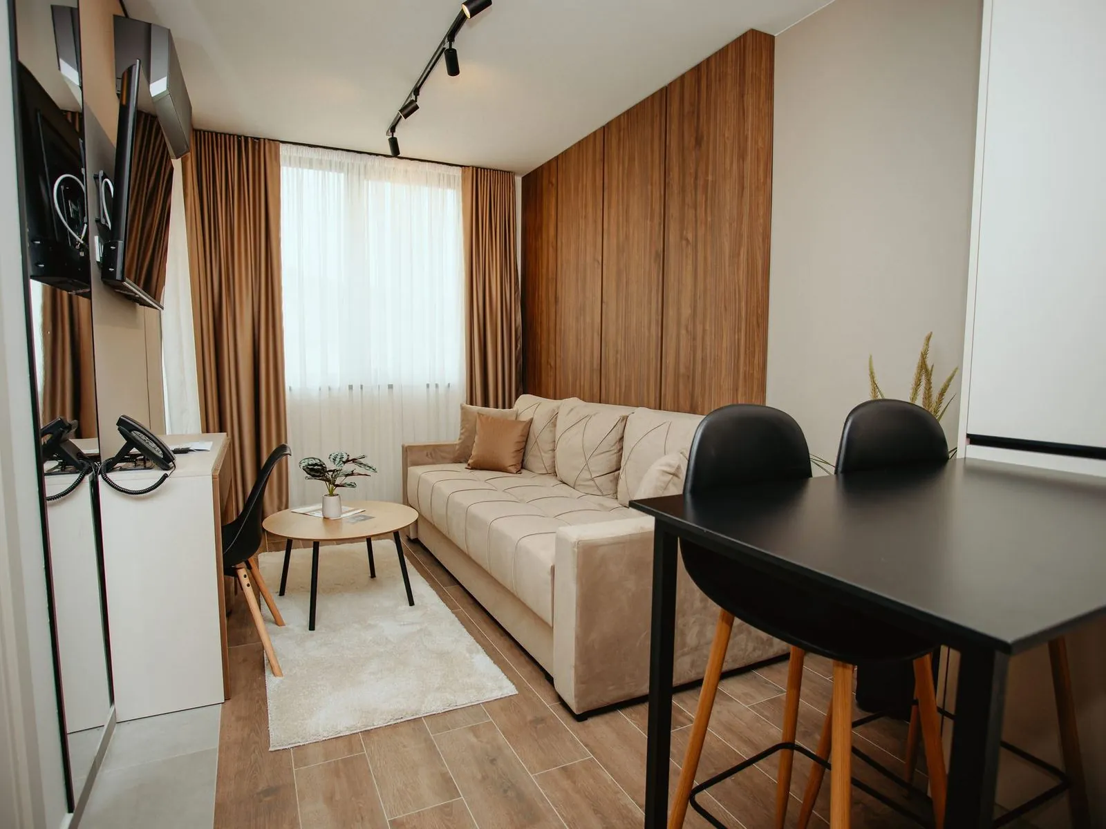 Standard apartment with a sofa, dining table and kitchen